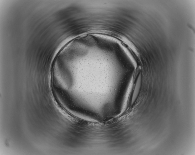 X0000096380955200802141428