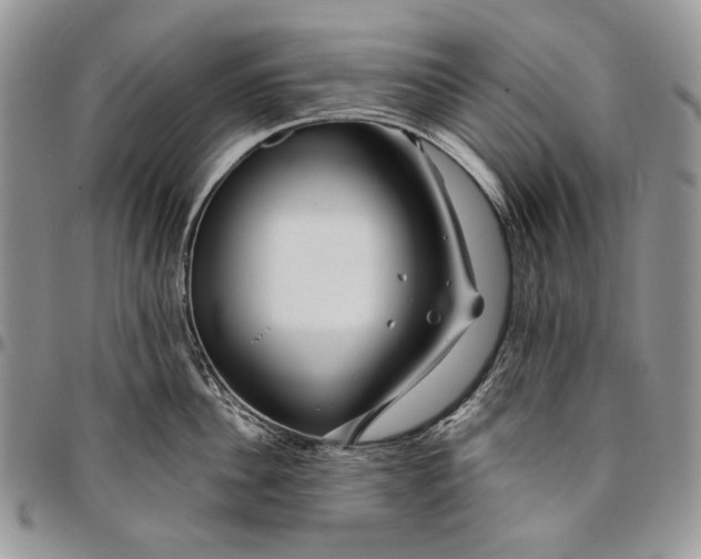 X0000096380956200802141428