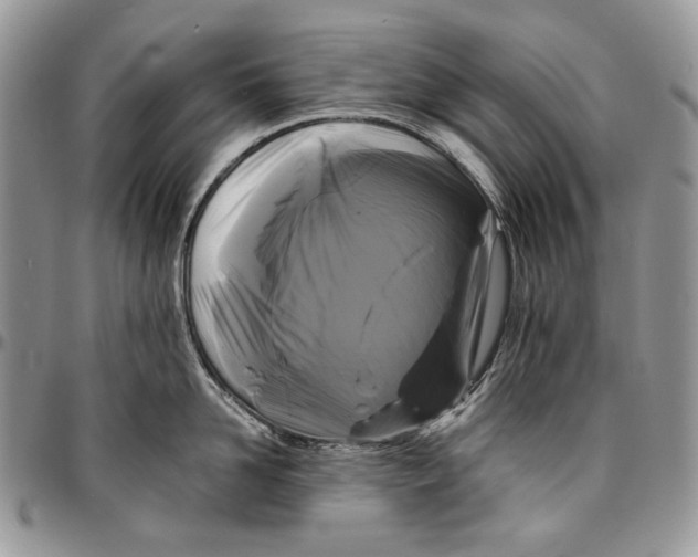 X0000096380958200802141428