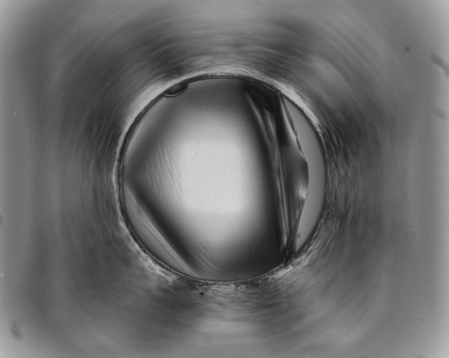 X0000096380959200802141428