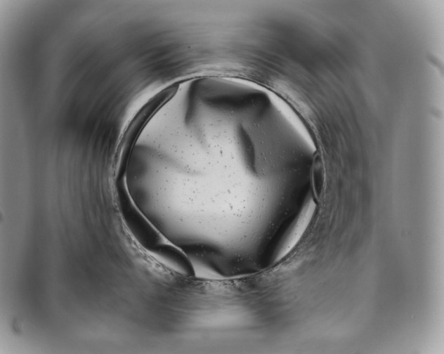 X0000096380960200802141428