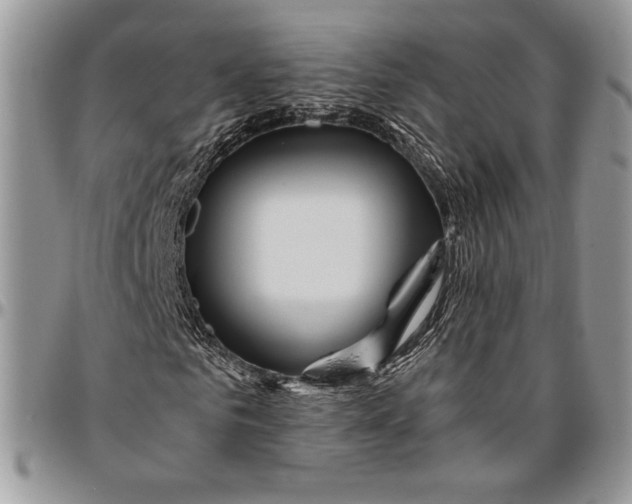 X0000096380961200802141427