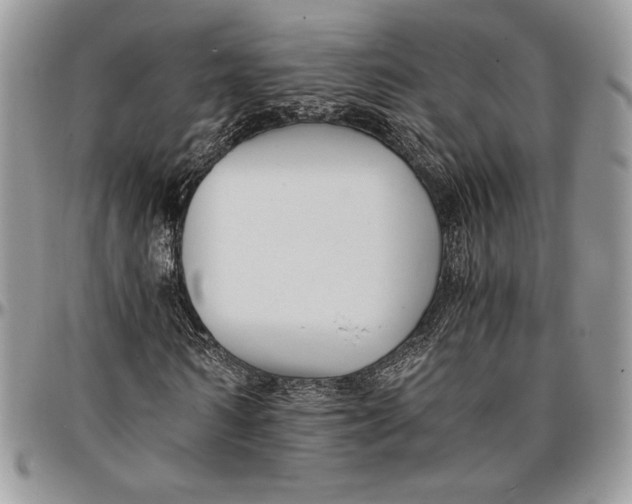 X0000096380962200802141427