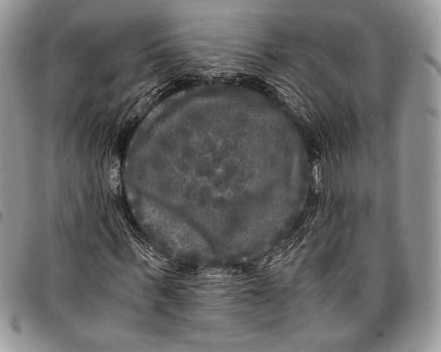 X0000096380963200802141427