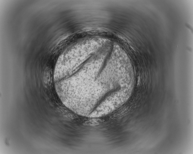 X0000096380966200802141427