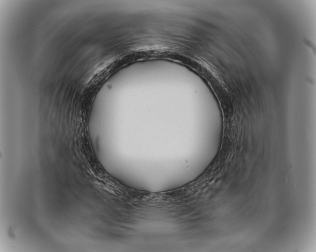 X0000096380967200802141427