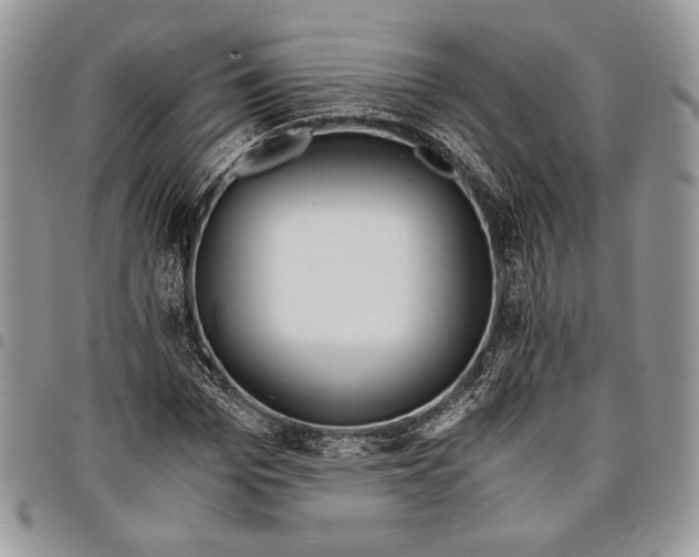 X0000096380969200802141427