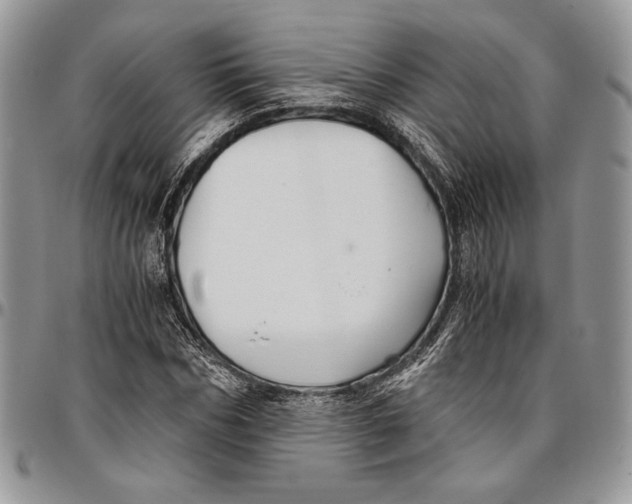 X0000096380970200802141427