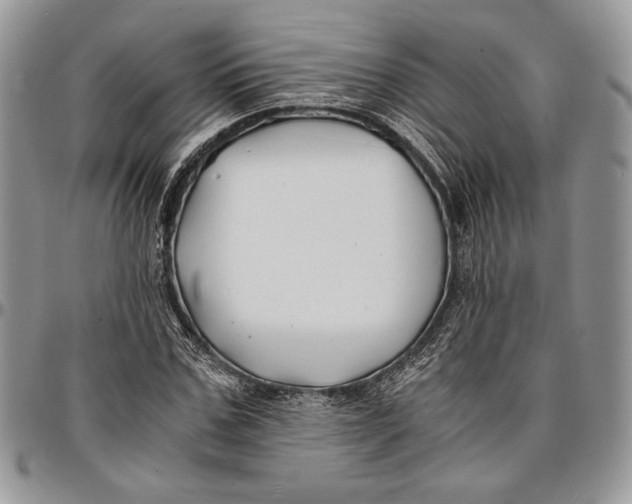 X0000096380971200802141427