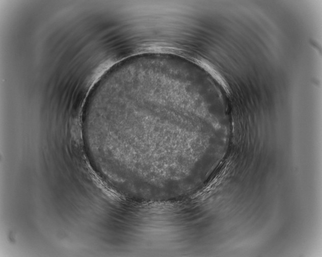 X0000096380972200802141427