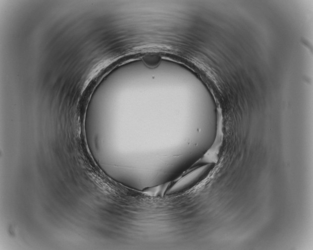 X0000096380973200802141427