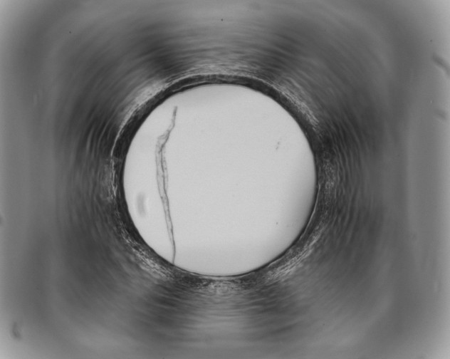 X0000096380974200802141427