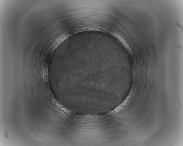 X0000096380977200802141427