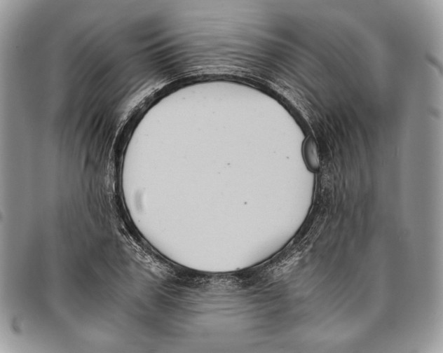 X0000096380979200802141427