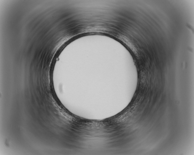 X0000096380980200802141427