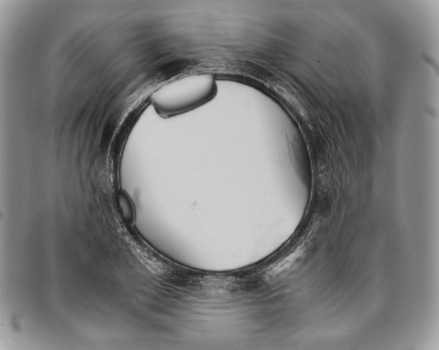 X0000096380981200802141427