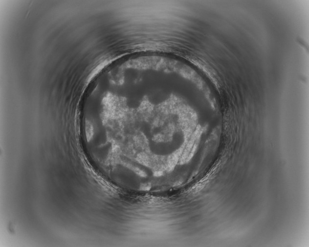 X0000096380983200802141427