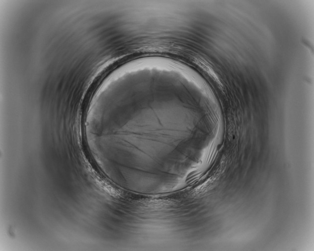 X0000096380984200802141427