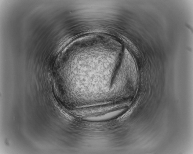 X0000096380985200802141427