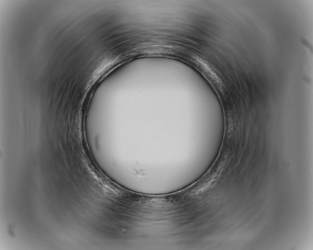 X0000096380986200802141427