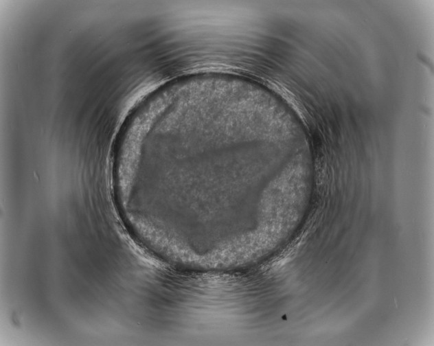 X0000096380987200802141427