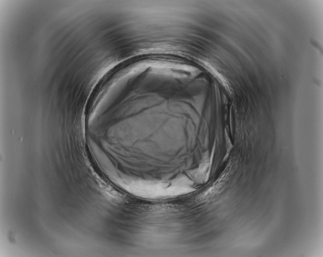 X0000096380988200802141427