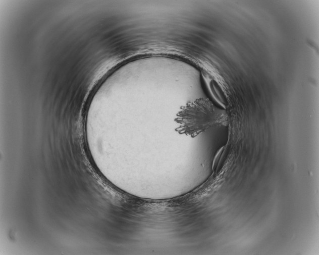 X0000096380990200802141427