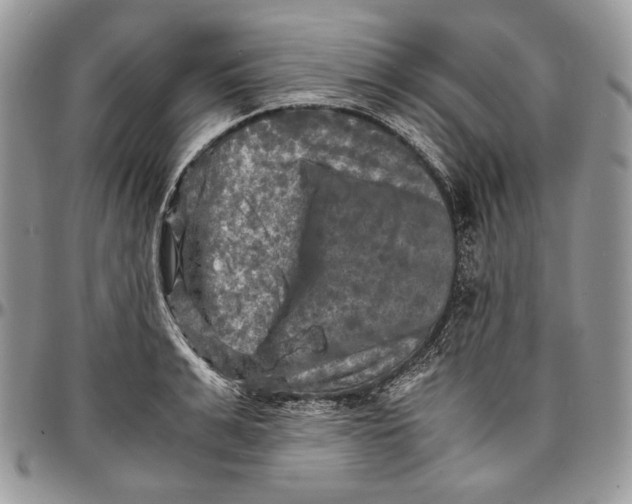 X0000096380991200802141427