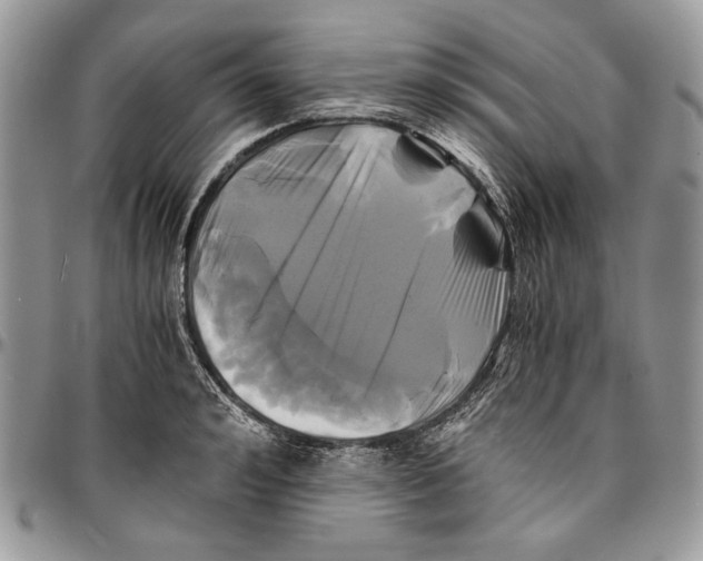 X0000096380992200802141427