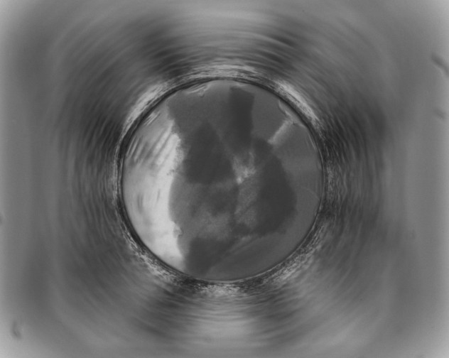 X0000096380994200802141427