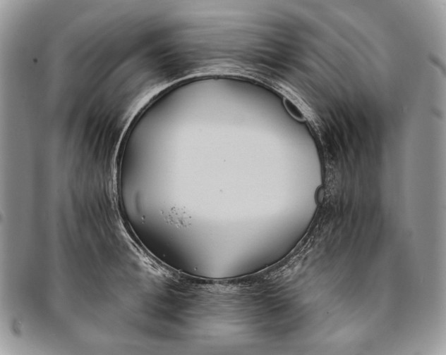 X0000096380996200802141427