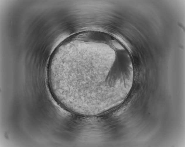 X0000096380999200802141427