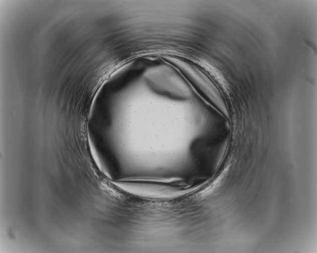 X0000096381001200802141427