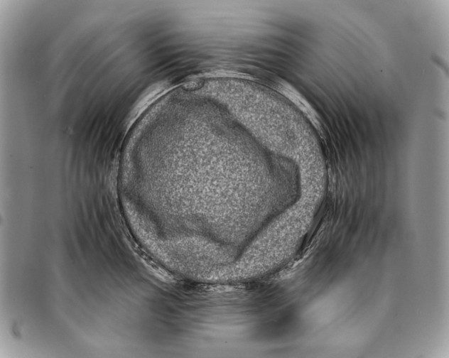 X0000096381002200802141427