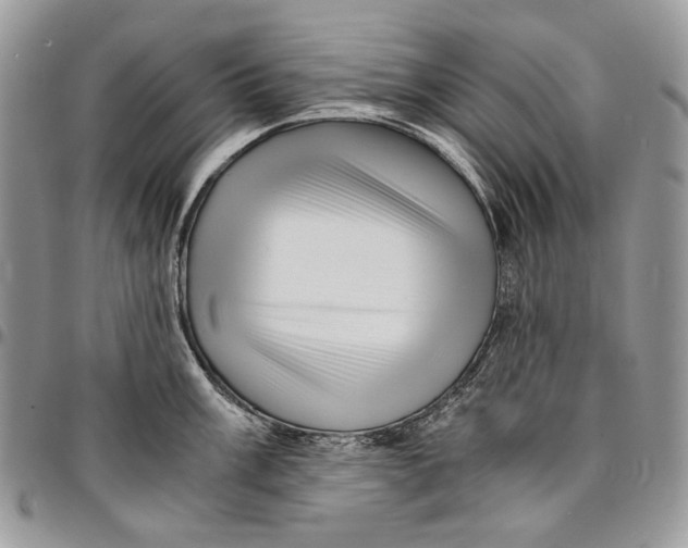 X0000096381003200802141427