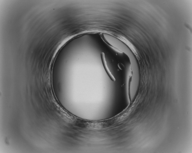 X0000096381004200802141427