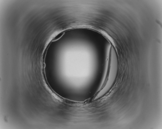 X0000096381005200802141427