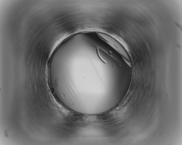 X0000096381006200802141427