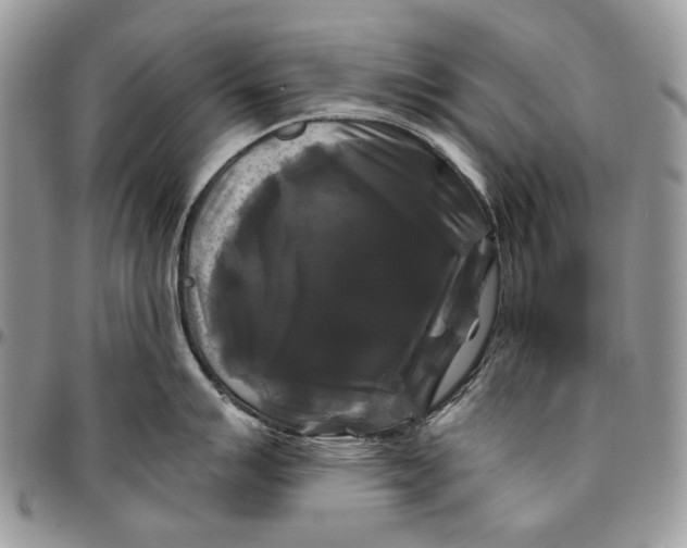 X0000096381007200802141427