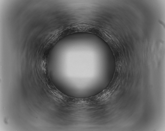 X0000096381010200802141426