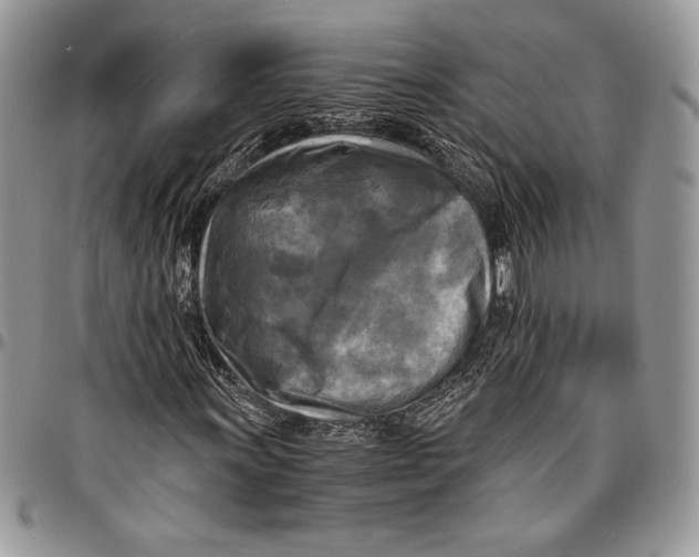 X0000096381011200802141426