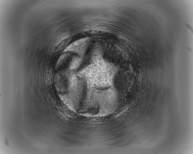 X0000096381014200802141426