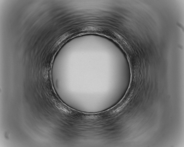 X0000096381017200802141426