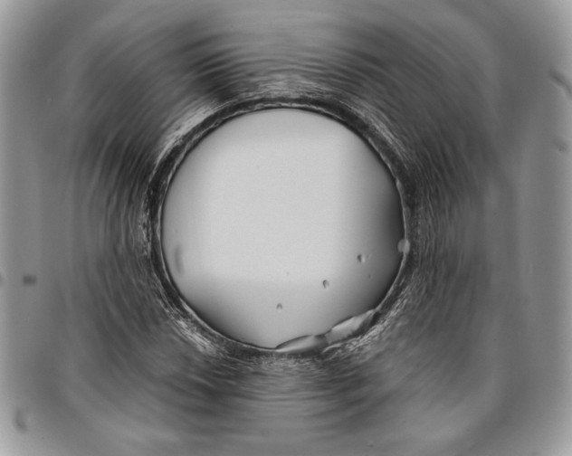 X0000096381018200802141426