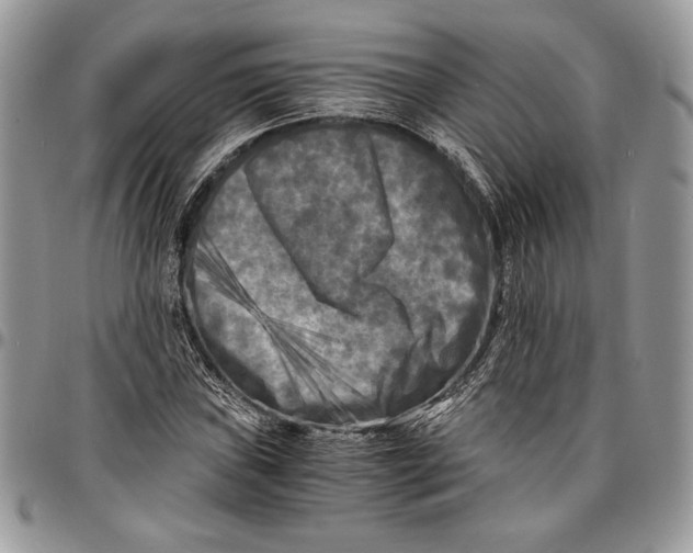 X0000096381019200802141426