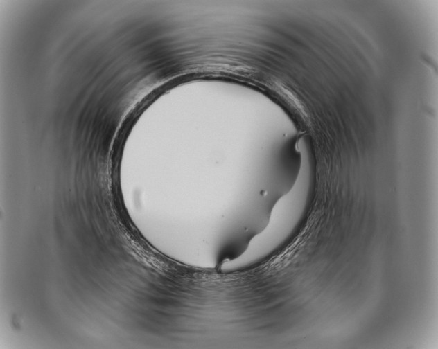 X0000096381020200802141426