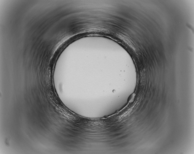 X0000096381021200802141426