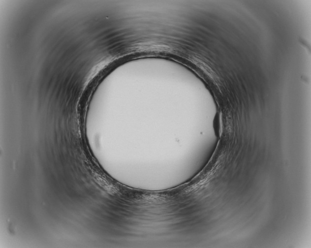 X0000096381022200802141426