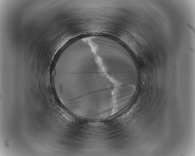 X0000096381023200802141426