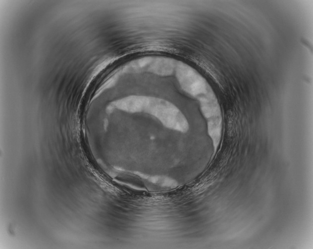 X0000096381024200802141426